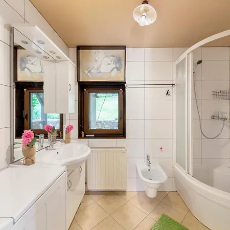 First House - Lovely Near Cerknica Nova Vas (Bloke)