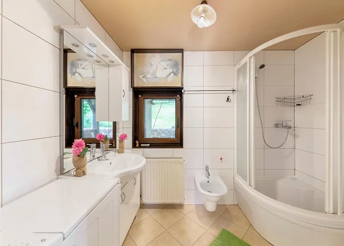 First House - Lovely Near Cerknica 诺瓦沃什